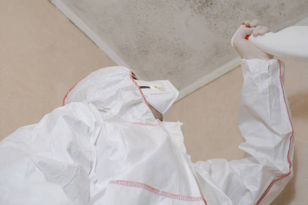 South Bound Brook, NJ Mold Removal Company